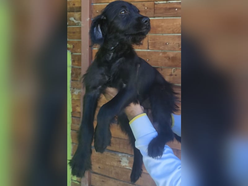 Ronja - wer zeigt ihr die schönen Seiten des Lebens ?