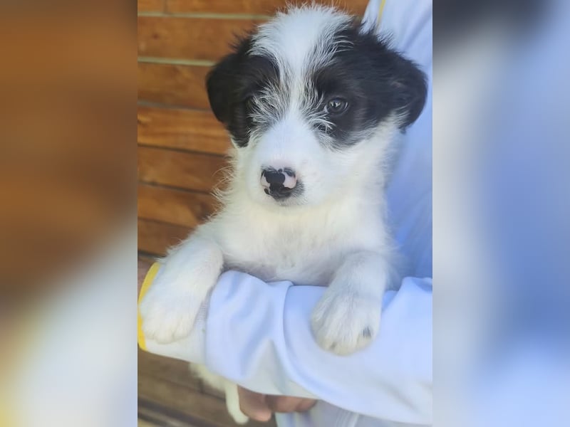 Fiona - hatte Glück im Unglück