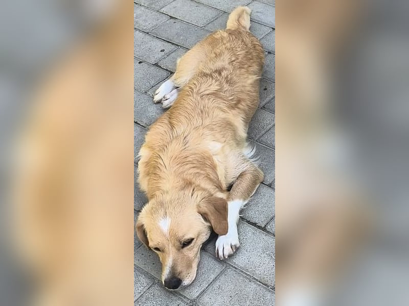 Elli - die Mütter bleiben immer zurück