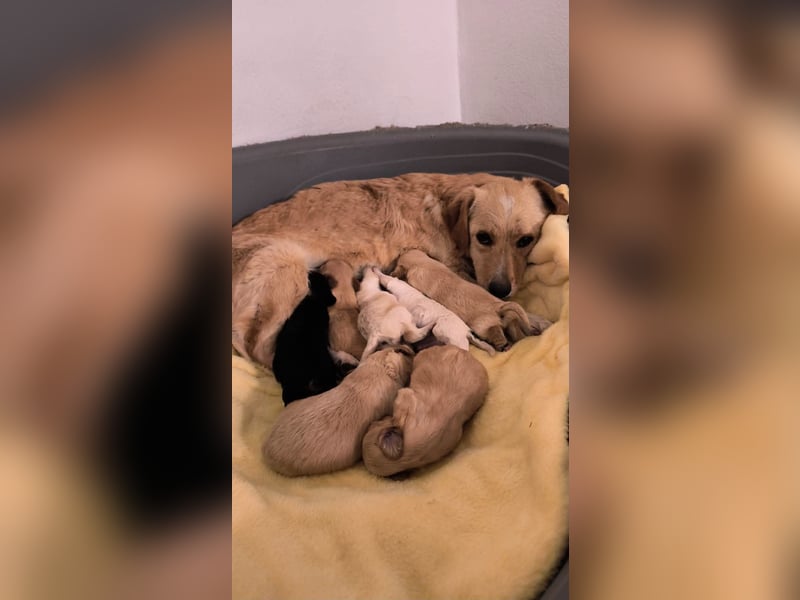 Elli - die Mütter bleiben immer zurück