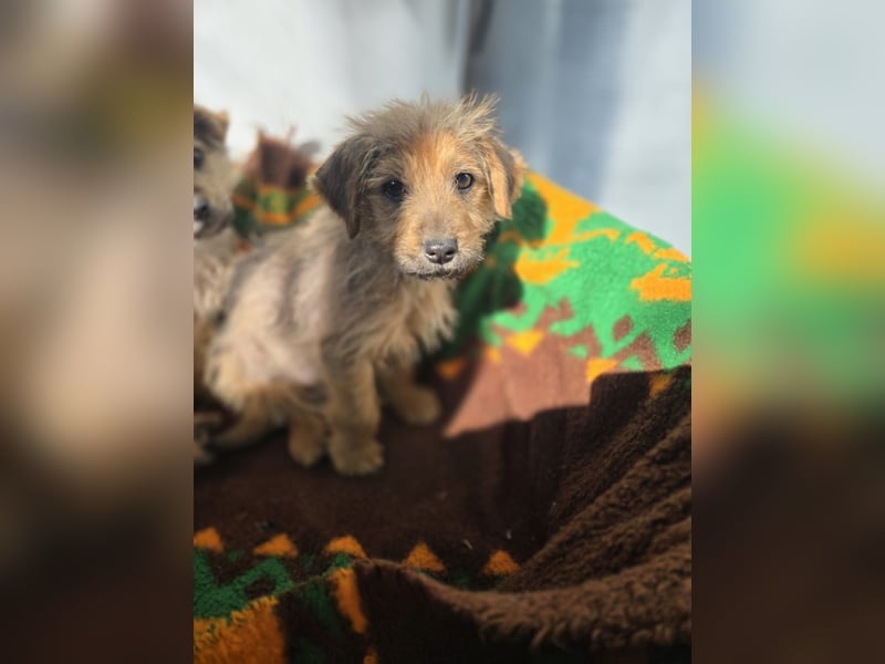 Christoph sucht ein warmes Zuhause - bist du es ?