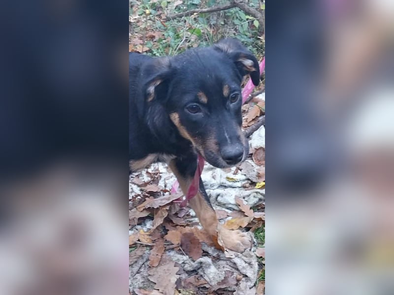 Ulf sucht Familienanschluss