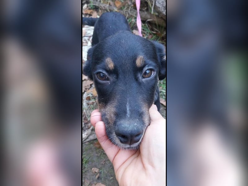 Ulf sucht Familienanschluss