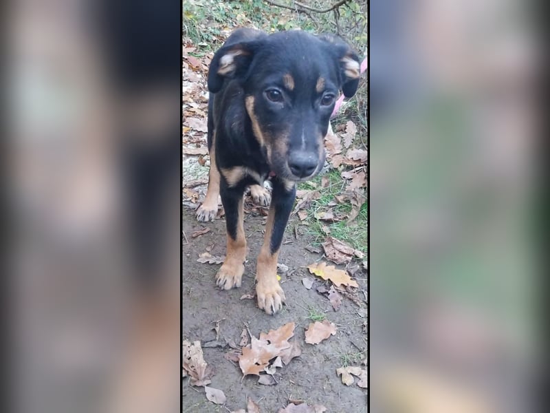 Ulf sucht Familienanschluss