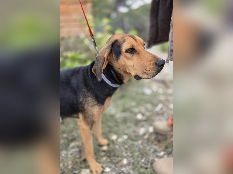 Hazel sucht genau dich Hazel sucht genau dich