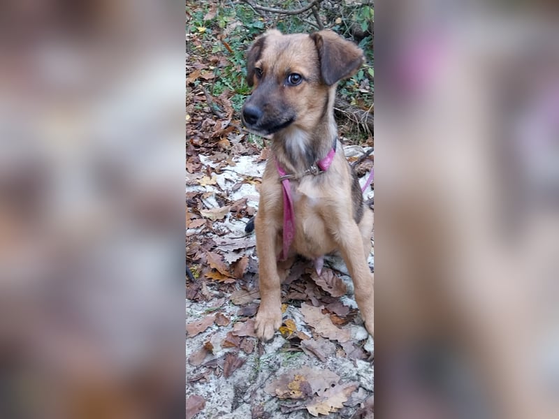 Urban - sucht dich genau dich