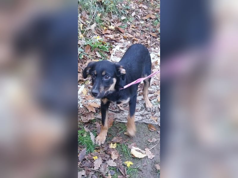 Ulf sucht Familienanschluss