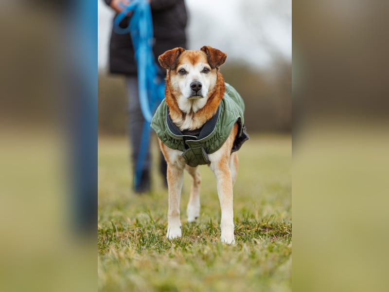 Chikoyo - 76661 Philippsburg