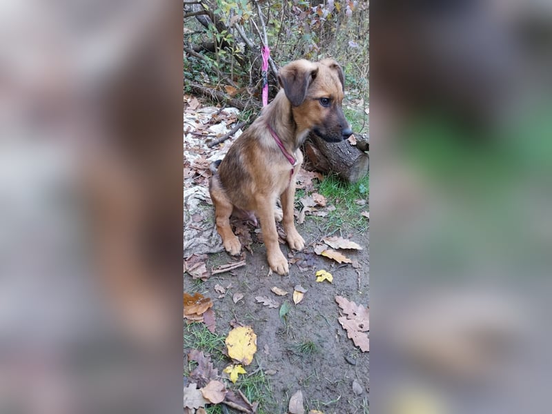 Urban - sucht dich genau dich