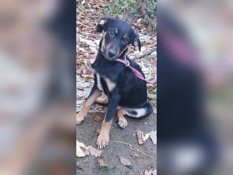 Ulf sucht Familienanschluss