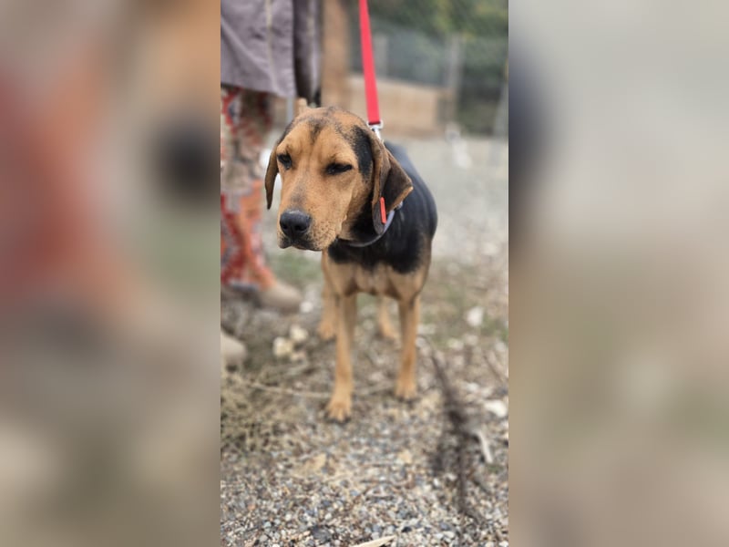 Hazel sucht genau dich Hazel sucht genau dich