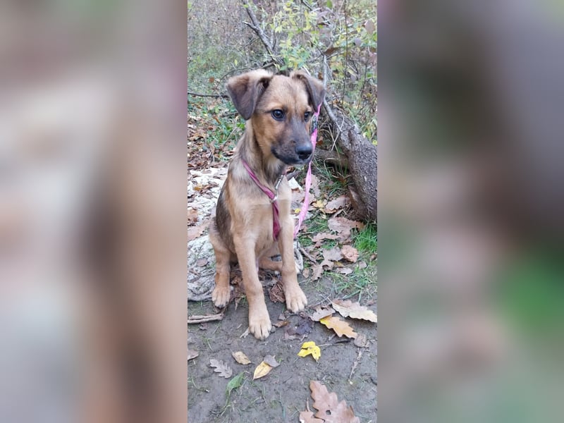 Urban - sucht dich genau dich