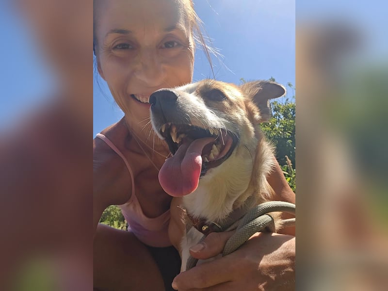 Nesa - sucht ihren best Buddy und ein liebevolles für immer zuhause - bei Dir ?