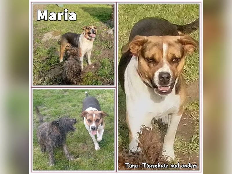 Maria sucht nach einem eigenen Zuhause