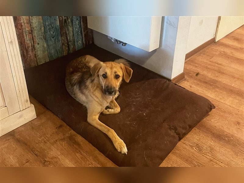 Amy - sportliches wunderschönes Mädel