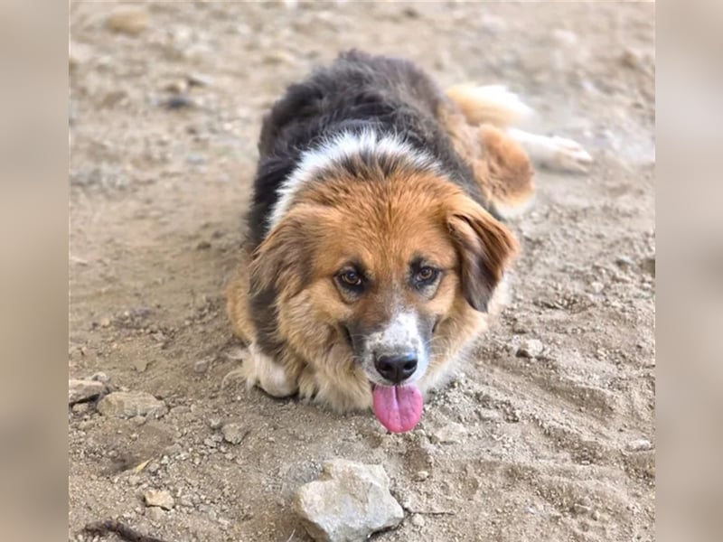  Kathi – Wer ihr Herz gewinnt, bekommt pures Gold zurück!