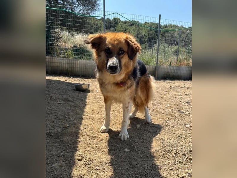  Kathi – Wer ihr Herz gewinnt, bekommt pures Gold zurück!