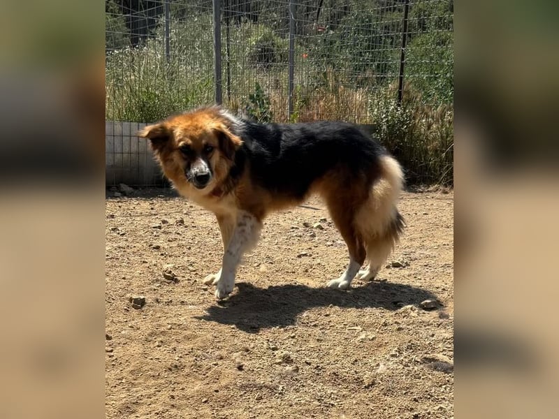  Kathi – Wer ihr Herz gewinnt, bekommt pures Gold zurück!