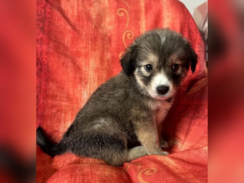 Skyla – mutige Abenteurerin 