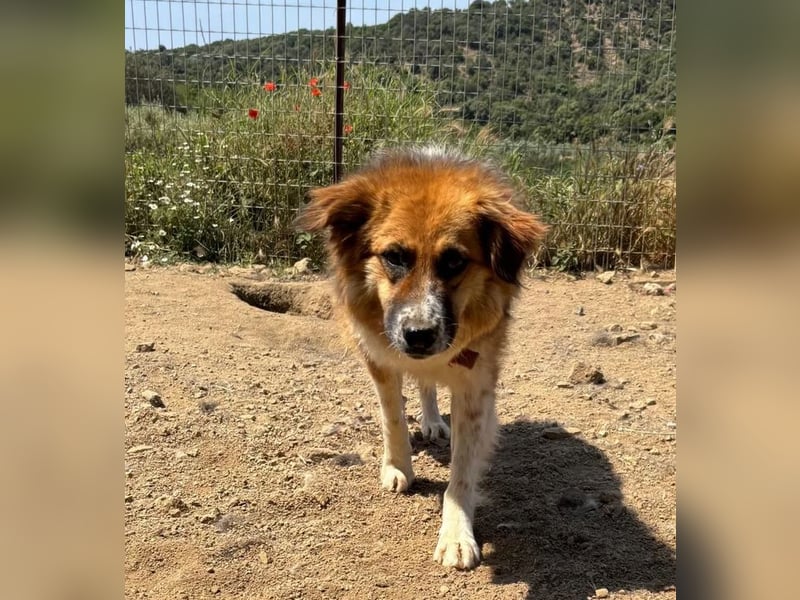  Kathi – Wer ihr Herz gewinnt, bekommt pures Gold zurück!