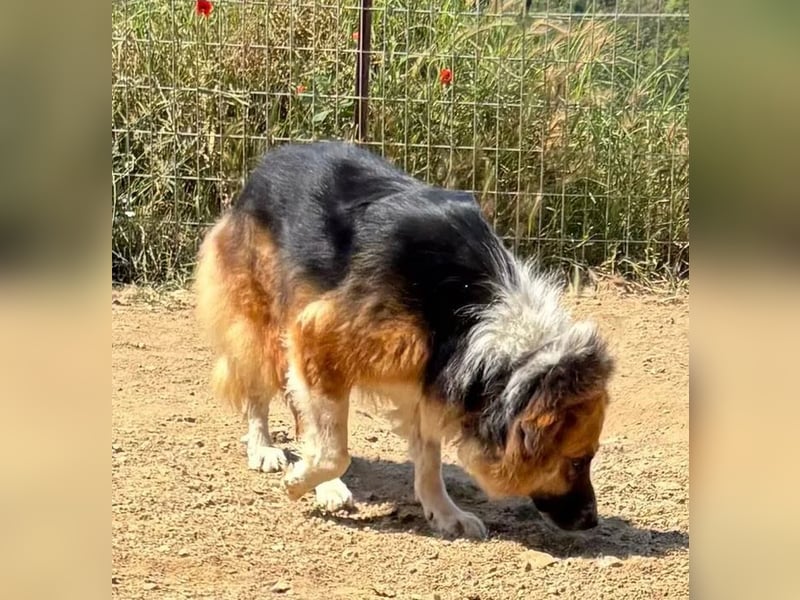  Kathi – Wer ihr Herz gewinnt, bekommt pures Gold zurück!