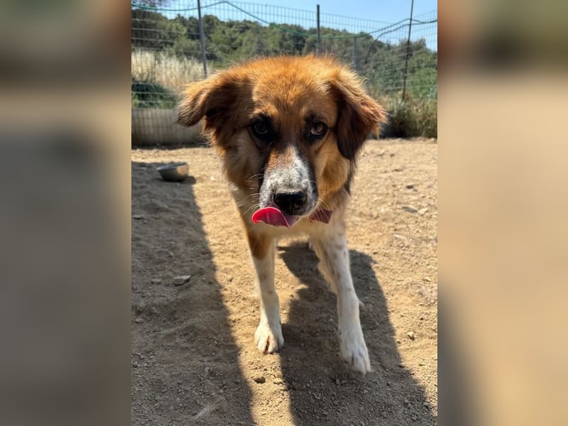  Kathi – Wer ihr Herz gewinnt, bekommt pures Gold zurück!