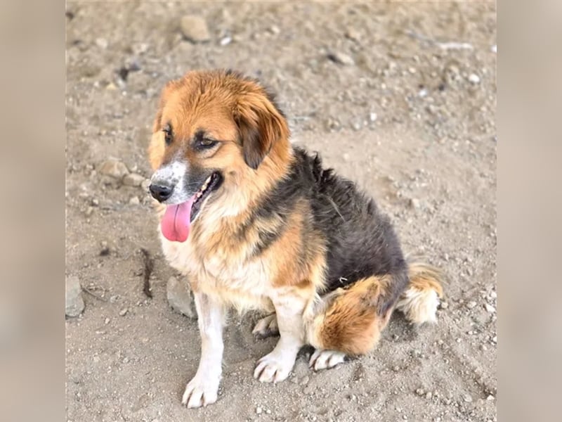  Kathi – Wer ihr Herz gewinnt, bekommt pures Gold zurück!
