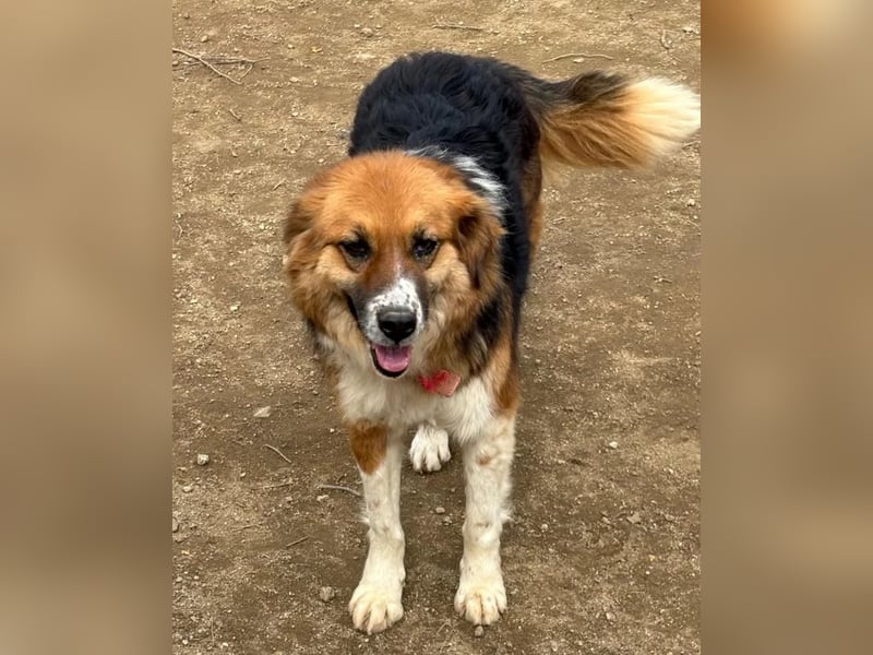  Kathi – Wer ihr Herz gewinnt, bekommt pures Gold zurück!