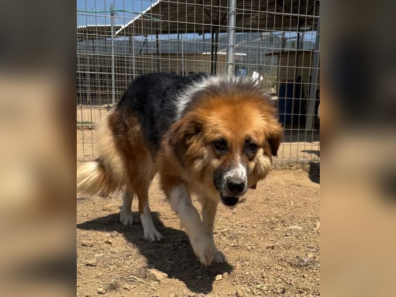  Kathi – Wer ihr Herz gewinnt, bekommt pures Gold zurück!