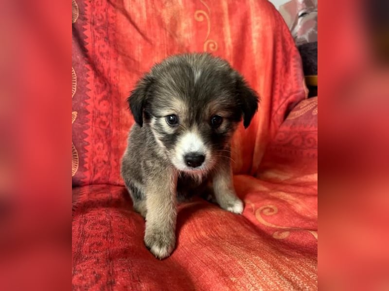 Skyla – mutige Abenteurerin 