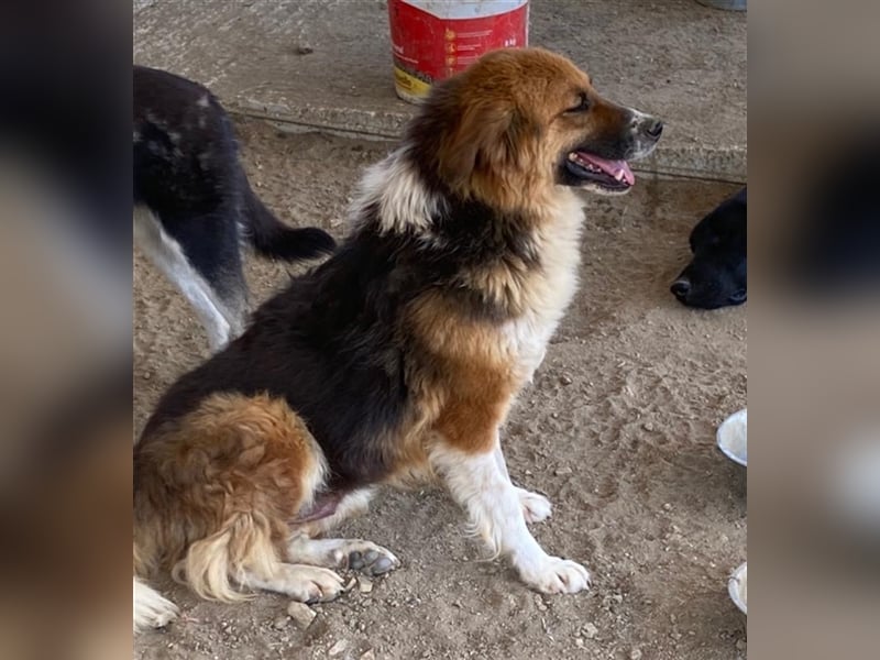  Kathi – Wer ihr Herz gewinnt, bekommt pures Gold zurück!