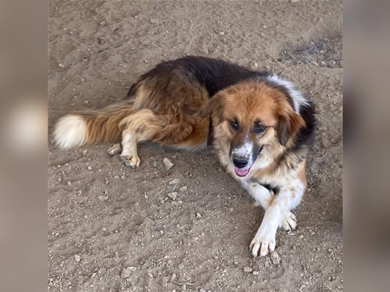  Kathi – Wer ihr Herz gewinnt, bekommt pures Gold zurück!