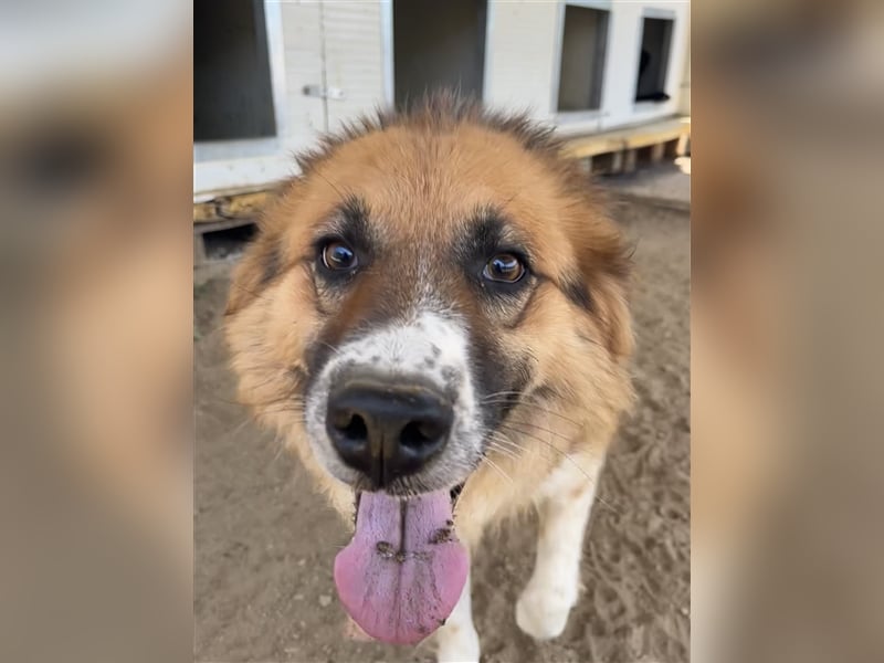  Kathi – Wer ihr Herz gewinnt, bekommt pures Gold zurück!
