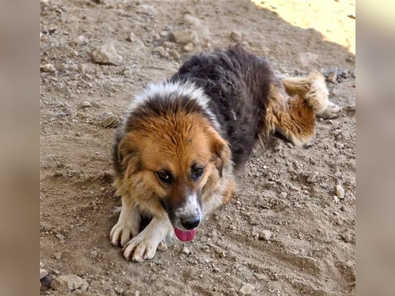  Kathi – Wer ihr Herz gewinnt, bekommt pures Gold zurück!