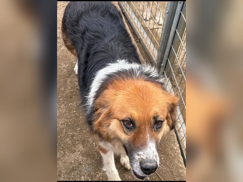  Kathi – Wer ihr Herz gewinnt, bekommt pures Gold zurück!