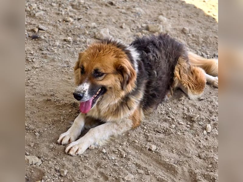  Kathi – Wer ihr Herz gewinnt, bekommt pures Gold zurück!