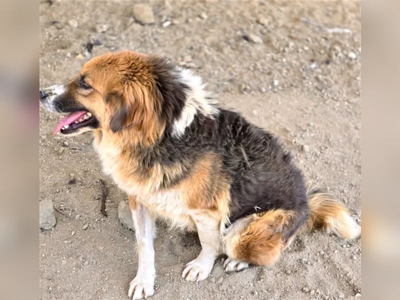  Kathi – Wer ihr Herz gewinnt, bekommt pures Gold zurück!