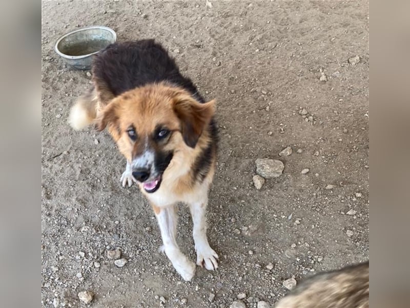  Kathi – Wer ihr Herz gewinnt, bekommt pures Gold zurück!