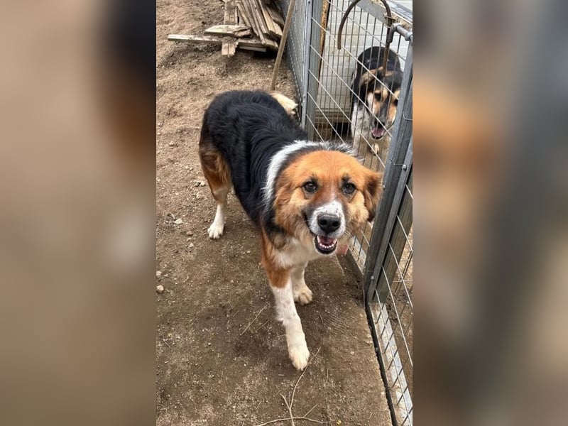  Kathi – Wer ihr Herz gewinnt, bekommt pures Gold zurück!