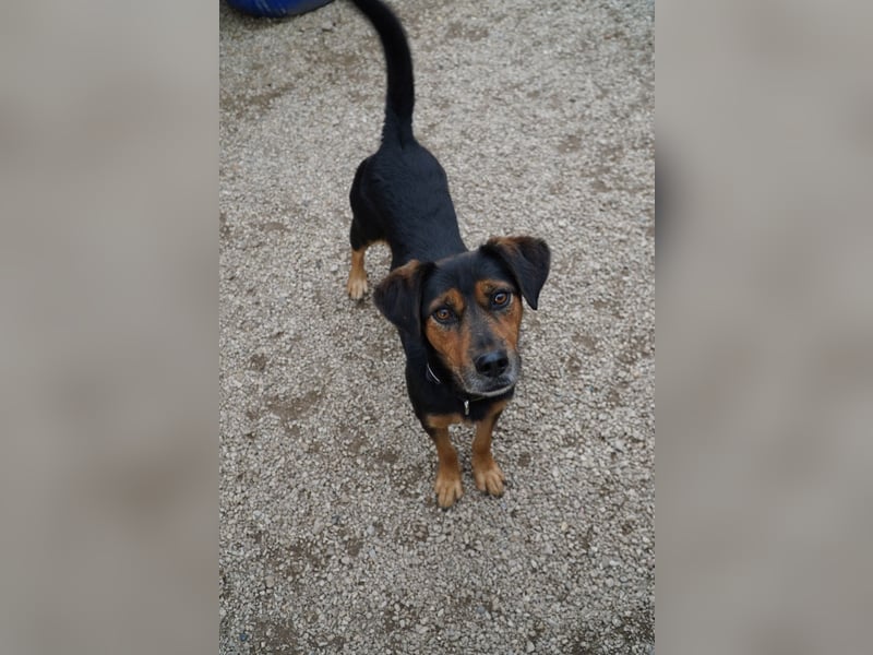 Neymar VA vorsichtig aber mit großem Herz