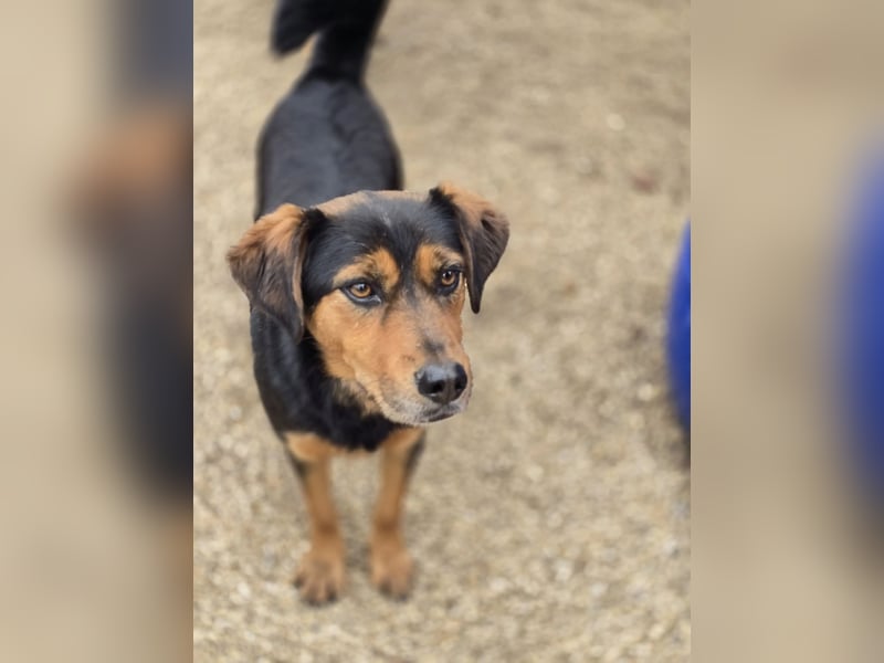 Neymar VA vorsichtig aber mit großem Herz