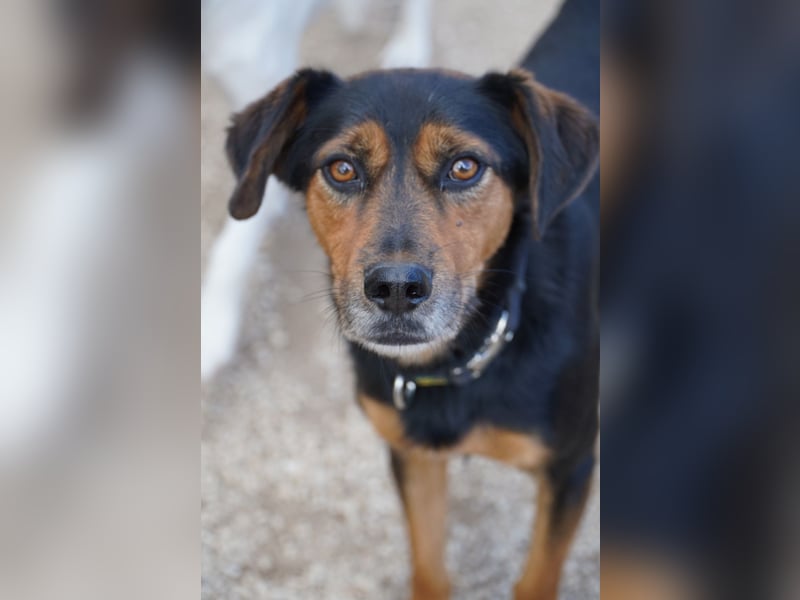 Neymar VA vorsichtig aber mit großem Herz