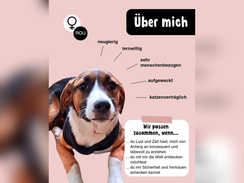 Alma sucht ihre Familie