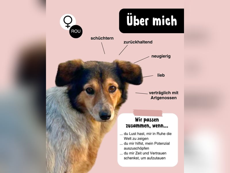 Wundervolle Thorgunna