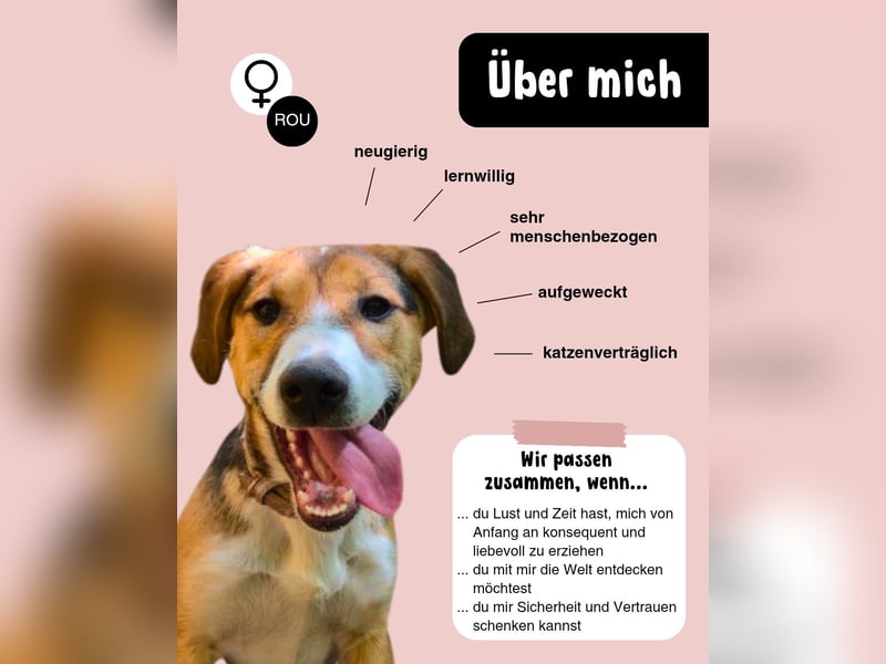 Schätzchen Lana