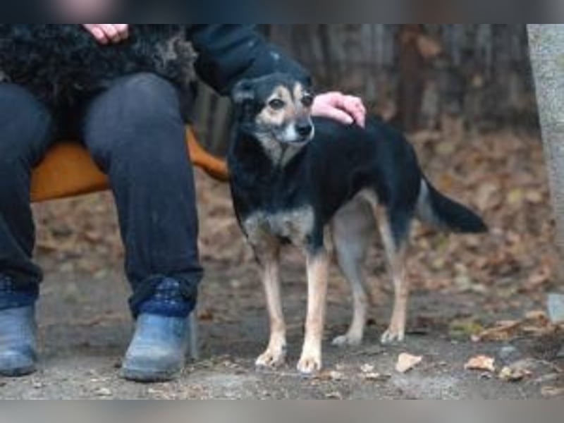 Update ELLA : Auf PS in 33181 Bad Wünnenerg