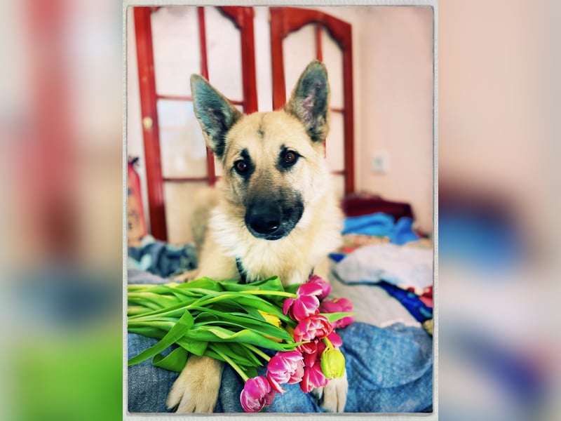 Eine echte Seele, auf der Suche nach ihren Seelens-Menschen!