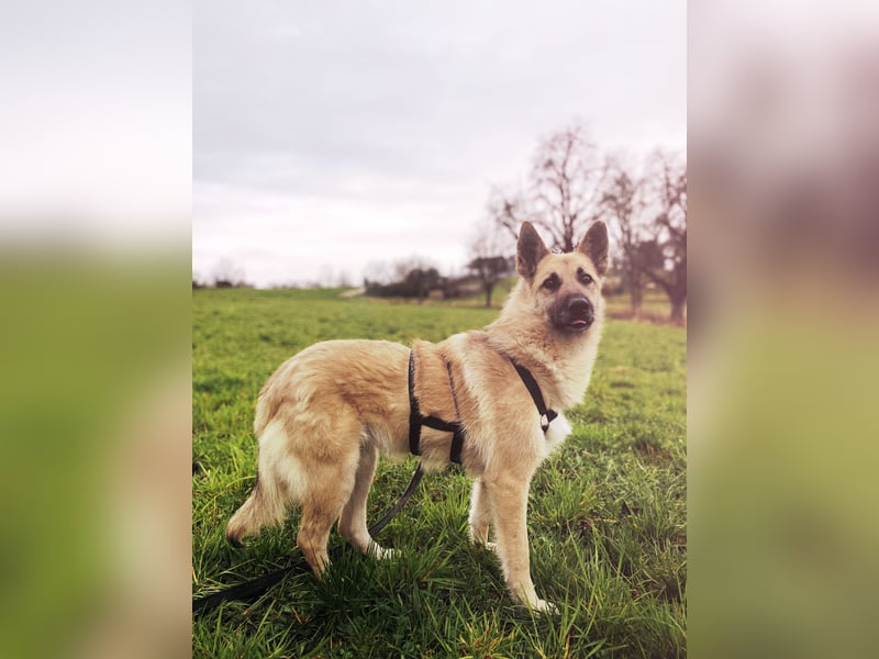 Eine echte Seele, auf der Suche nach ihren Seelens-Menschen!