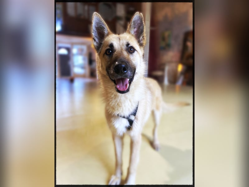 Eine echte Seele, auf der Suche nach ihren Seelens-Menschen!