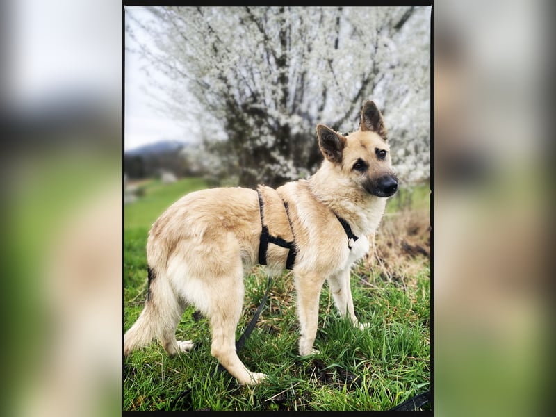 Eine echte Seele, auf der Suche nach ihren Seelens-Menschen!